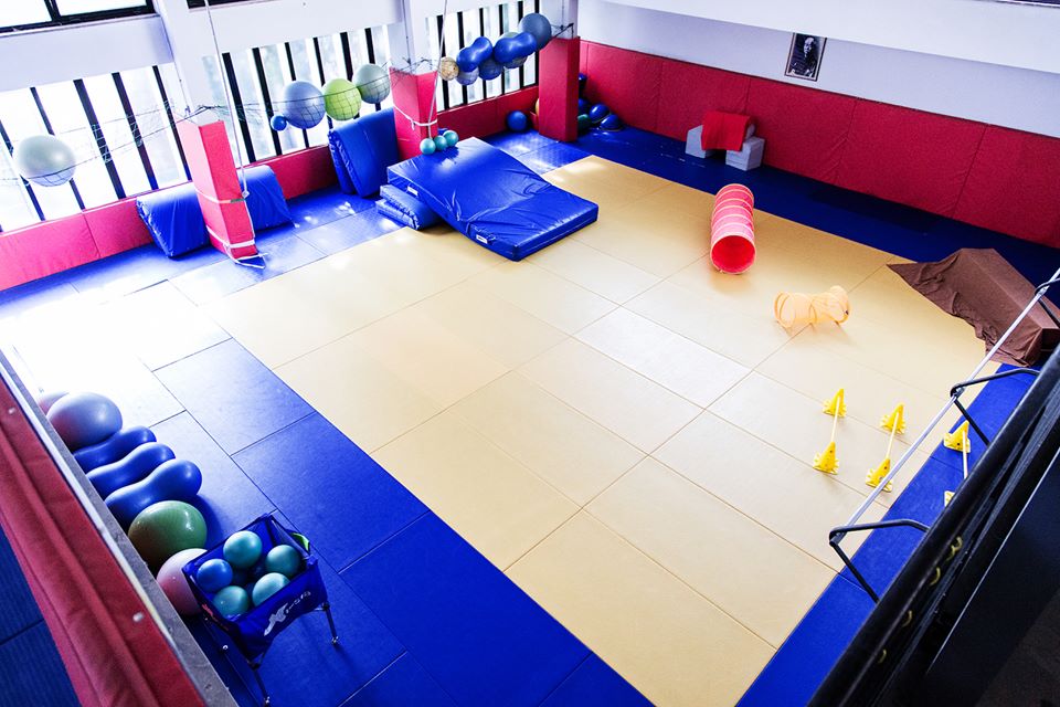 dojo-full dojo-full
