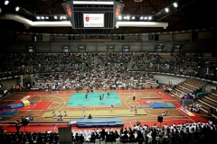 150 anni di ginnastica triestina il saggio