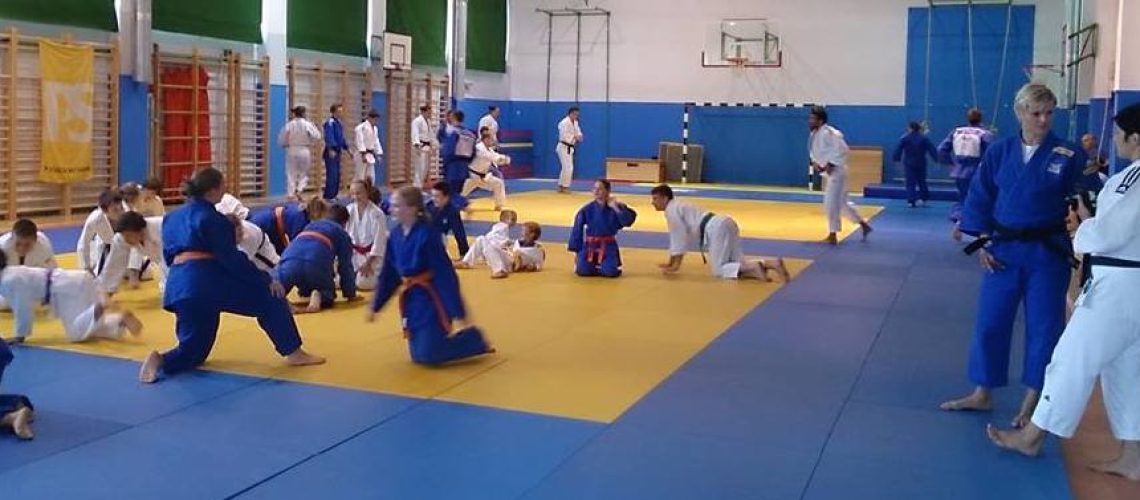 2013ago19 Celje