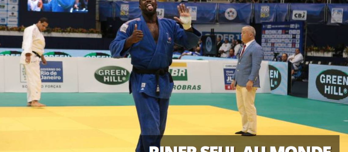2013ago31 Riner 6