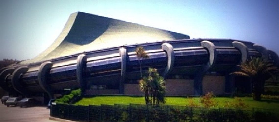 2642palapellicone