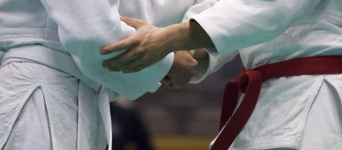 AlpeAdria Judo Trophy- 26.01.2014 U21 Class